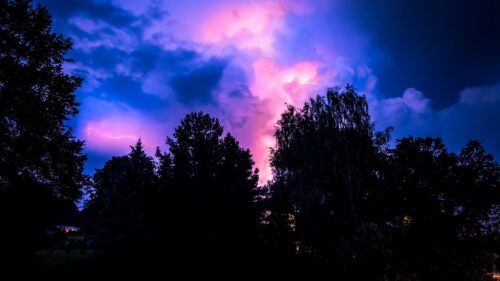 Storm, Sky, Trees, Night Wallpapers Free Download