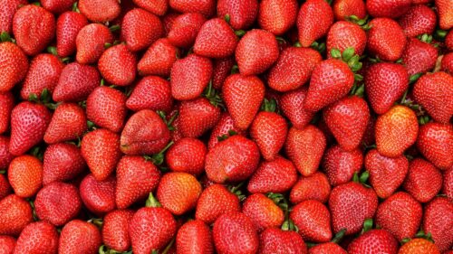 Strawberry, Berry, Ripe Wallpapers Free Download (2)
