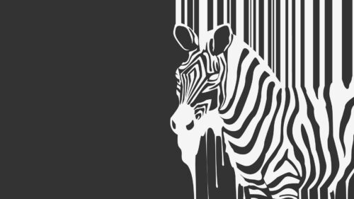 Stripes, Animal, Zebra, Flows Wallpapers Free Download
