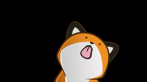 Stupid, Fox, Language Wallpapers Free Download