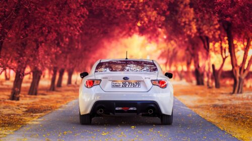 Subaru, Rear View, Autumn, Car Wallpapers Free Download