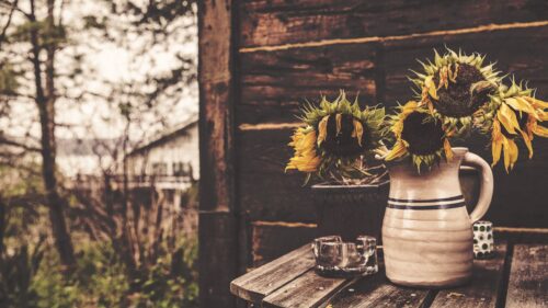 Sunflowers, Vase, Flowers Wallpapers Free Download