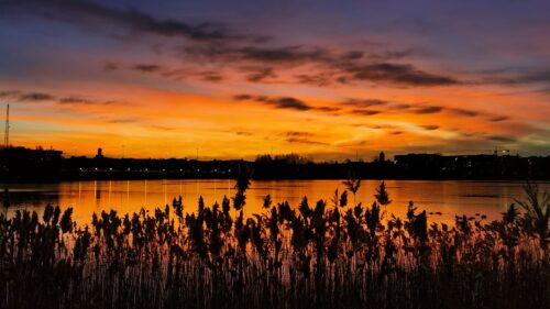 Sunset, Ears, Lake Wallpapers Free Download