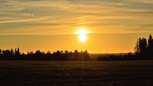 Sunset, Field, Trees Wallpapers Free Download