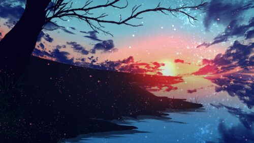 Sunset, Sky, Branches Wallpapers Free Download