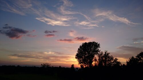 Sunset, Sky, Trees, Clouds Wallpapers Free Download