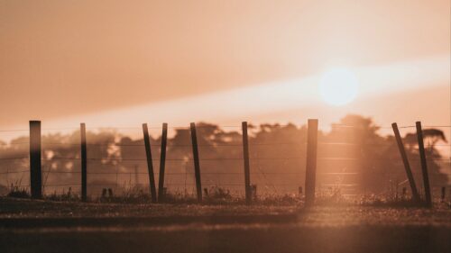 Sunset, Sun, Bright Wallpapers Free Download