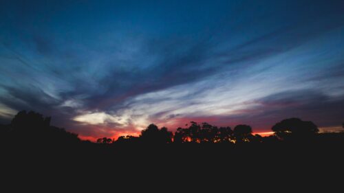 Sunset, Trees, Sky, Clouds, Horizon Wallpapers Free Download