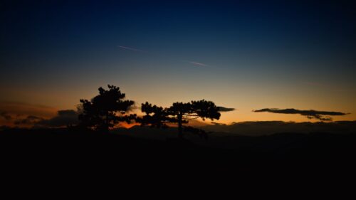 Sunset, Trees, Sky Wallpapers Free Download