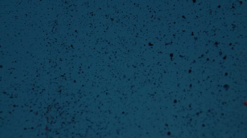 Surface, Concrete, Texture Wallpapers Free Download