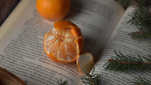 Tangerines, Book, Branches Wallpapers Free Download
