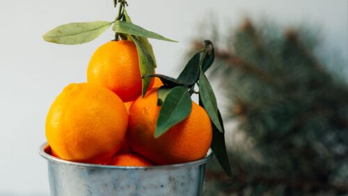 Tangerines, Citrus, Fruit Wallpapers Free Download