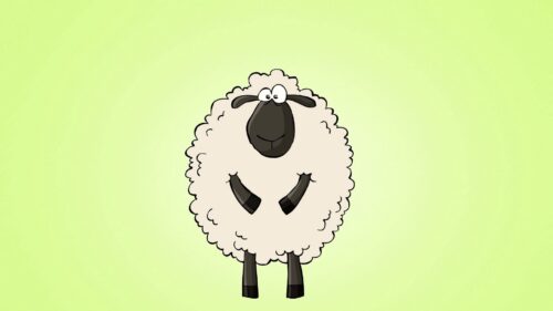 The Best Wallpapers Related to Lamb, Graphic, Curls