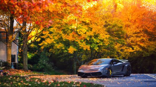 The Best Wallpapers Related to Lamborghini, Autumn, Gallardo
