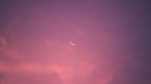 The Moon, Sky, Pink HD Wallpapers Free Download
