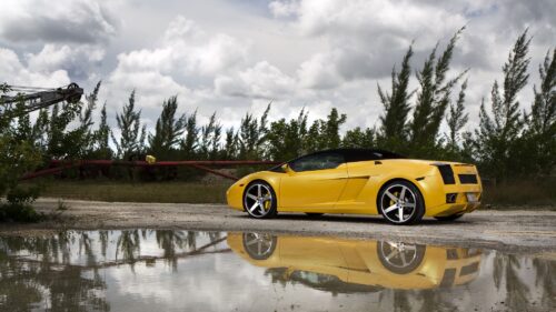 The Wallpapers Related to Lamborghini, Gallardo, Lp560