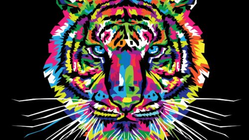 Tiger, Art, Multicolored HD Wallpapers Free Download