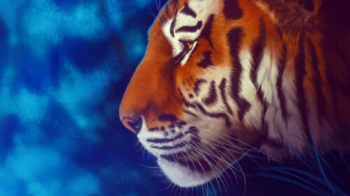 Tiger, Glance, Art HD Wallpapers Free Download