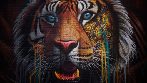 Tiger, Graffiti, Street HD Wallpapers Free Download