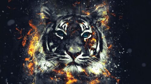 Tiger, Sparks, Art HD Wallpapers Free Download