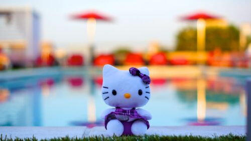 Toy, Kitten, Bow Wallpapers Free Download