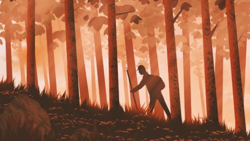 Traveler, Forest, Trees Wallpapers Free Download