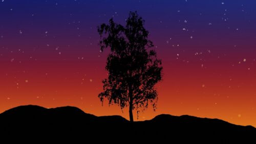 Tree, Art, Lonely Wallpapers Free Download
