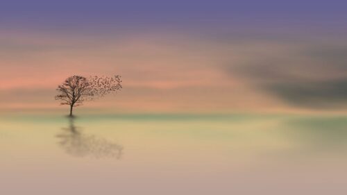 Tree, Dawn, Lonely Wallpapers Free Download