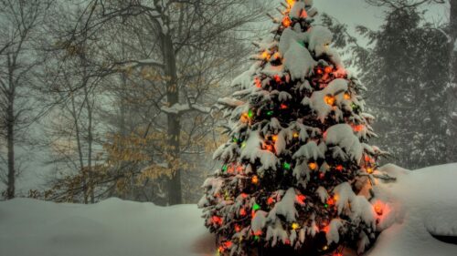 Tree, Garland, New Year, Christmas Wallpapers Free Download