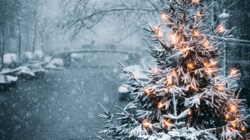 Tree, Garland, Snow Wallpapers Free Download