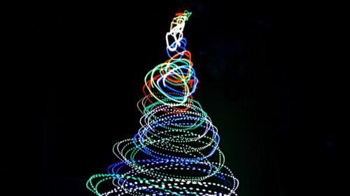 Tree, Neon, Long, Exposure Wallpapers Free Download