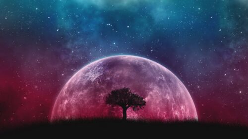 Tree, Planet, Stars, Galaxy, Art Wallpapers Free Download