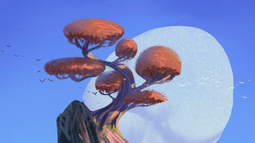 Tree, Rock, Island Wallpapers Free Download