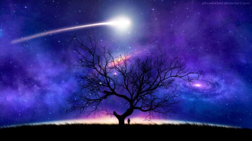 Tree, Silhouette, Space Wallpapers Free Download