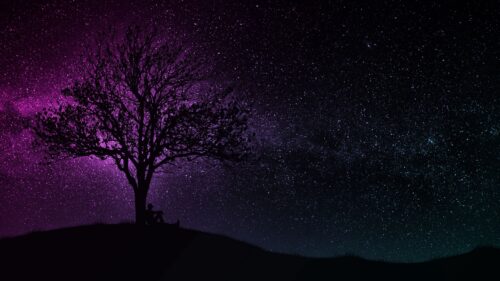 Tree, Silhouette, Starry, Sky Wallpapers Free Download