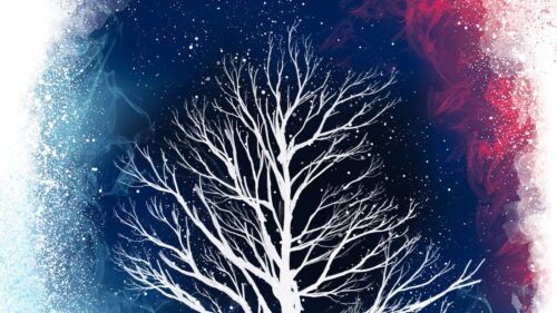 Tree, White, Art Wallpapers Free Download