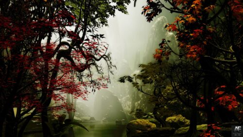 Trees, Autumn, Fog Wallpapers Free Download