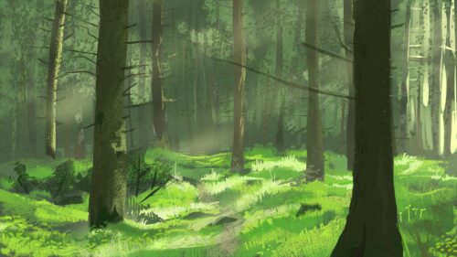 Trees, Forest, Path Wallpapers Free Download
