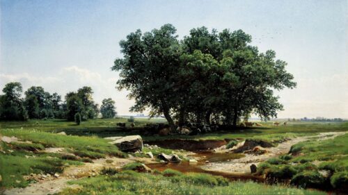 Trees, Nature, Grass Wallpapers Free Download