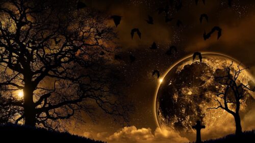 Trees, Nature, Night Wallpapers Free Download