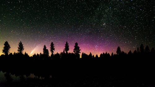 Trees, Silhouette, Starry Wallpapers Free Download