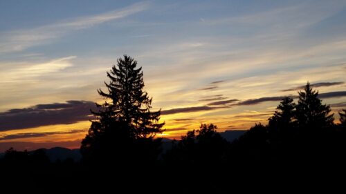 Trees, Sky, Sunrise, Clouds Wallpapers Free Download