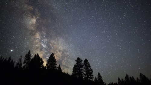 Trees, Starry, Sky Wallpapers Free Download