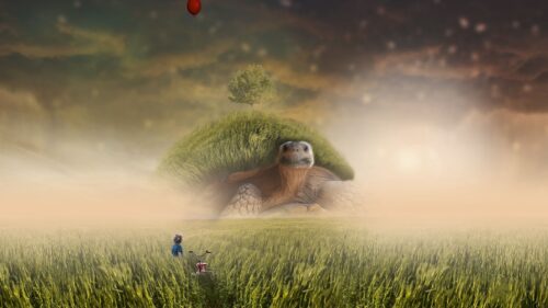 Turtle, Photoshop, Child, Bicycle Wallpapers Free Download
