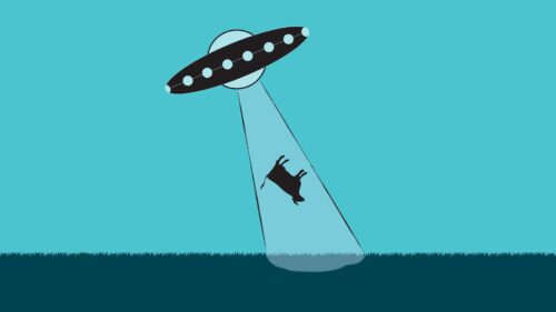 Ufos, Aliens, Cow, Improvisation Wallpapers Free Download