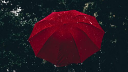 Umbrella, Red, Girl, Rain Wallpapers Free Download