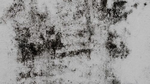 Wall, Stains, Texture Full HD Wallpapers Free Download