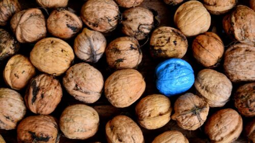 Walnuts, Color, Shell Full HD Wallpapers Free Download