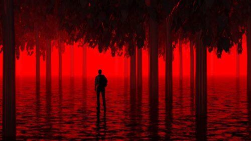 Water, Trees, Man HD Wallpapers Free Download