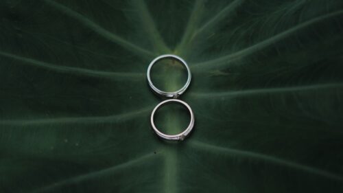 Wedding Rings, Rings, Couple HD Wallpapers Free Download